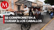 Ruta y costo del viaje: lo que debes saber de las calesas eléctricas en Mérida