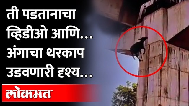 ती पडली, आणि झाला मृत्यू.... Maharashtra News | Nagpur News