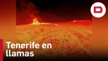 El incendio de Tenerife ha arrasado 2.000 hectáreas de mont