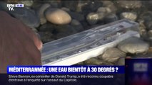 Méditerranée: une eau bientôt à 30 degrés?