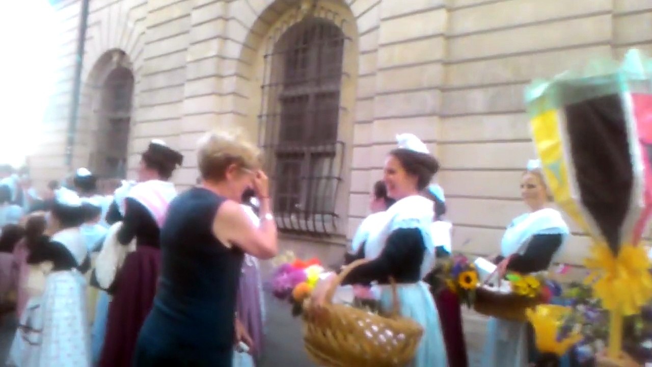 La fête de costume, Arles, French (festival in Provence)