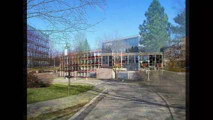 TOP 10 BEST UNIVERSITIES IN CZECH REPUBLIC / TOP 10 MEJORES UNIVERSIDADES DE REPÚBLICA CHECA