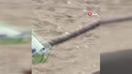 Karganın çantadan euro hırsızlığı gülümsetti