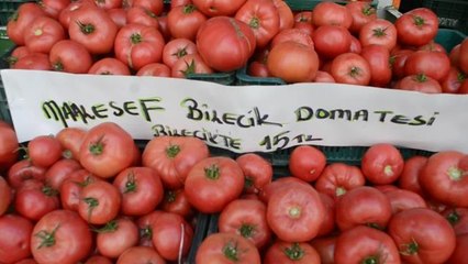Bilecik'teki Manavın Etiketi: "Maalesef Bilecik Domatesi, Bilecik'te 14 Tl"
