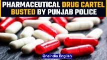 Punjab: Pharmaceutical drug cartel busted by the police, pharma opioids seized | Oneindia news *News
