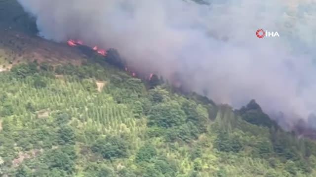 Son dakika haber... Ormanlık alanda yangın çıktı, söndürme çalışmaları devam ediyor