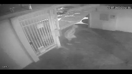 Vídeo mostra ladrões furtando bicicleta em prédio na Rua Nereu Ramos