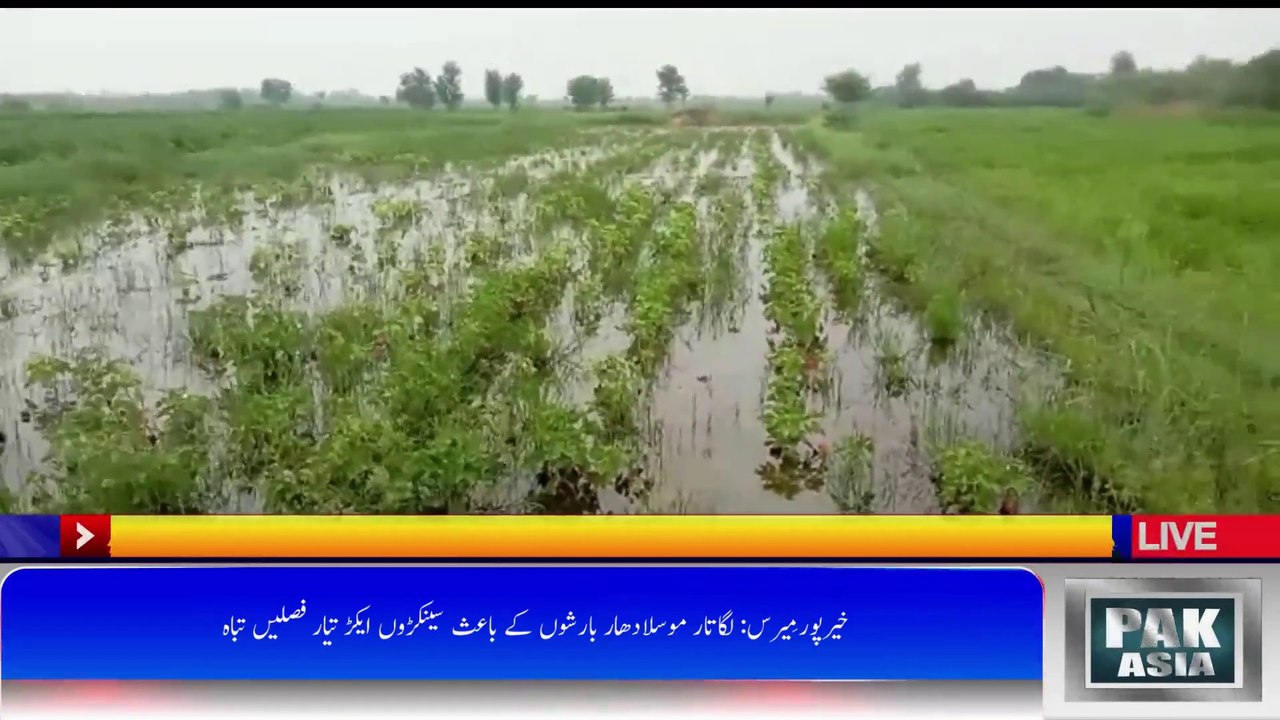 لگاتار موسلادھار بارشوں کے باعث سینکڑوں ایکڑ تیار فصلیں تباہ