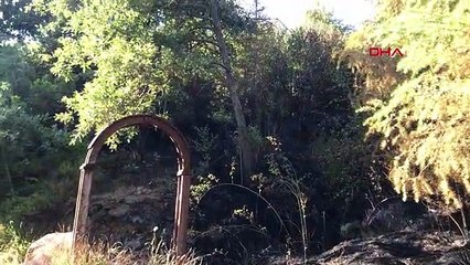 KOCAELİ'DE ÇIKAN ORMAN YANGINI 2 SAATTE KONTROL ALTINA ALINDI