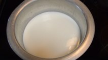 Mishti Dohi - Bengali yogurt recipe - easy sweet yogurt recipe - Sweet Caramel Yogurt