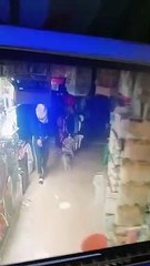 Manisa'da Komşusunun İş Yerinden Papağan Çalan Şahıs Tutuklandı!