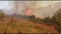 Kocaeli'de ormanlık alan yangını: Vatandaşlar yangına su şişeleriyle müdahale etti