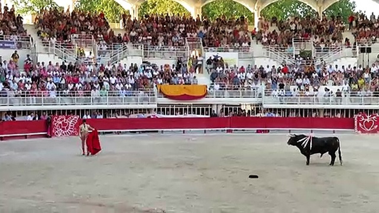 Lunel 2022 - Andres Roca Rey - Toreo de cape & tercio de muleta (extraits) - 6eme taureau - 17 Juillet 2022