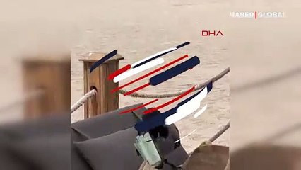 Antalya'da karganın çantadan euroyu kapması kameralara yansıdı