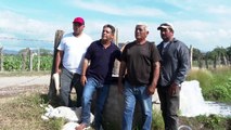 Unidad de Riego Las Palmas va por 6a etapa con 135 hectáreas | CPS Noticias Puerto Vallarta