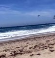 EUA. Avião cai em praia onde decorria competição de nadadores-salvadores