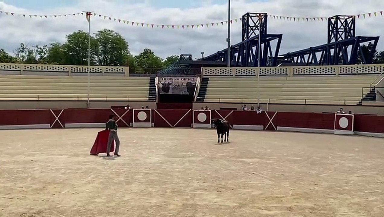 Initiation aux cultures taurines durant les fêtes d'Orthez 2022
