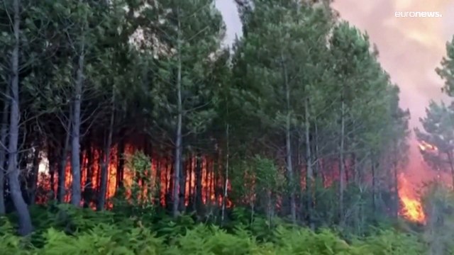 عناصر الإطفاء يسيطرون على حريق هائل جنوب غرب فرنسا بعد 11 يوماً من العمل الشاق