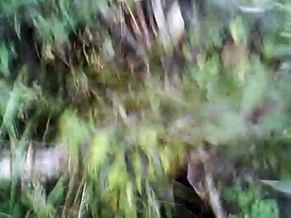 Panofka 9 instrumental without melody