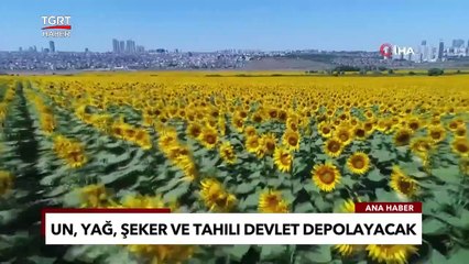 Stokçuluğa Kesin Çözüm: Devlet Depolayıp Stoğu Önleyecek! - TGRT Ana Haber