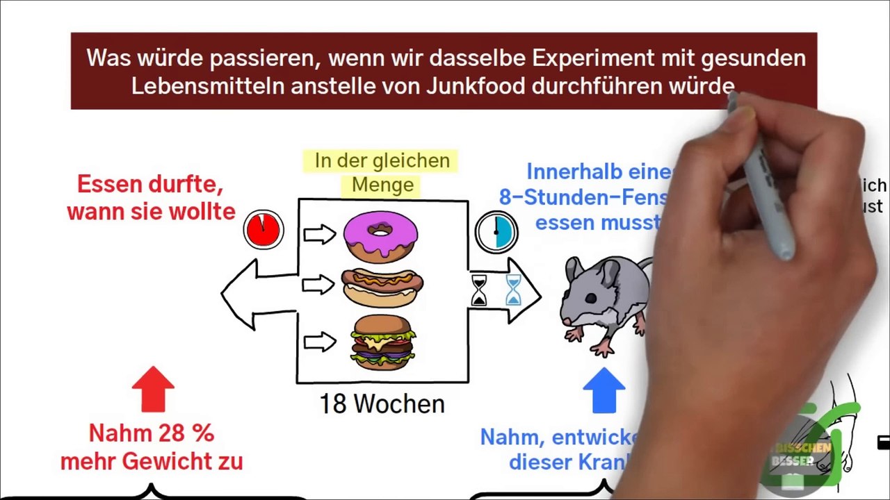 Warum Fühle Ich Mich Dauernd Müde Und Schläfrig  - 3 Tipps