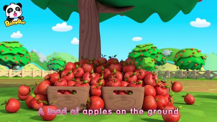 Where Do Mushroom Fairies Take Baby Panda to? | Math Kingdom Adventure | BabyBus