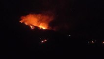 Adana'da orman yangını! Alevler rüzgarın etkisiyle kısa sürede büyüdü