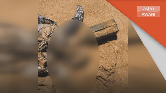 Hidupan Marin | Lagi penyu mati dipercayai kerana khianat