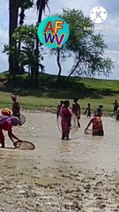 গ্রামের মেয়েরা কিভাবে মাছ ধরে|Sekh Ashadullah official