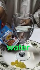 experiment.water baking soda vinegar and grapes.