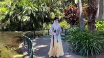 Guzheng plays classic nostalgic music on the streets of Bucun, Australia: Afterlife! A foreign grandfather thanked me for telling him last time that Japanese zither originated from Chinese zither, which changed his misconception.