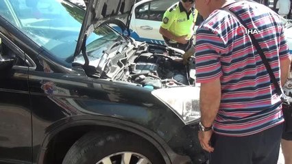 Araçların içine saklanıp sıkışan yavru kedi böyle kurtarıldı