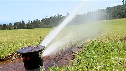 Racionamiento de agua en el Algarve para hacer frente a una sequía histórica en Portugal
