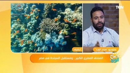 المتحف المصري الكبير.. ومستقبل السياحة في مصر "صباح الورد"