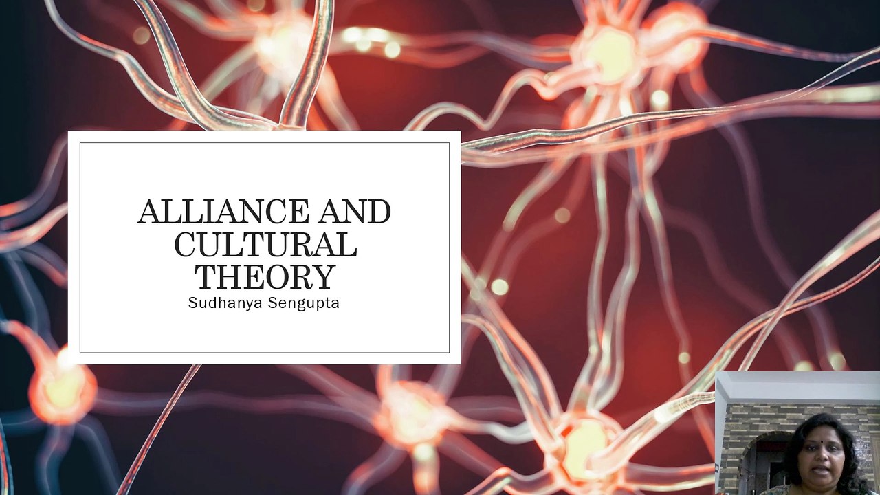 allianc and cultural theory