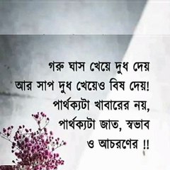 মানুষের আচরণ কেমন হওয়া উচিত