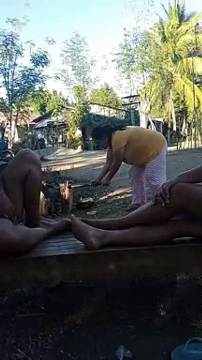funny videos