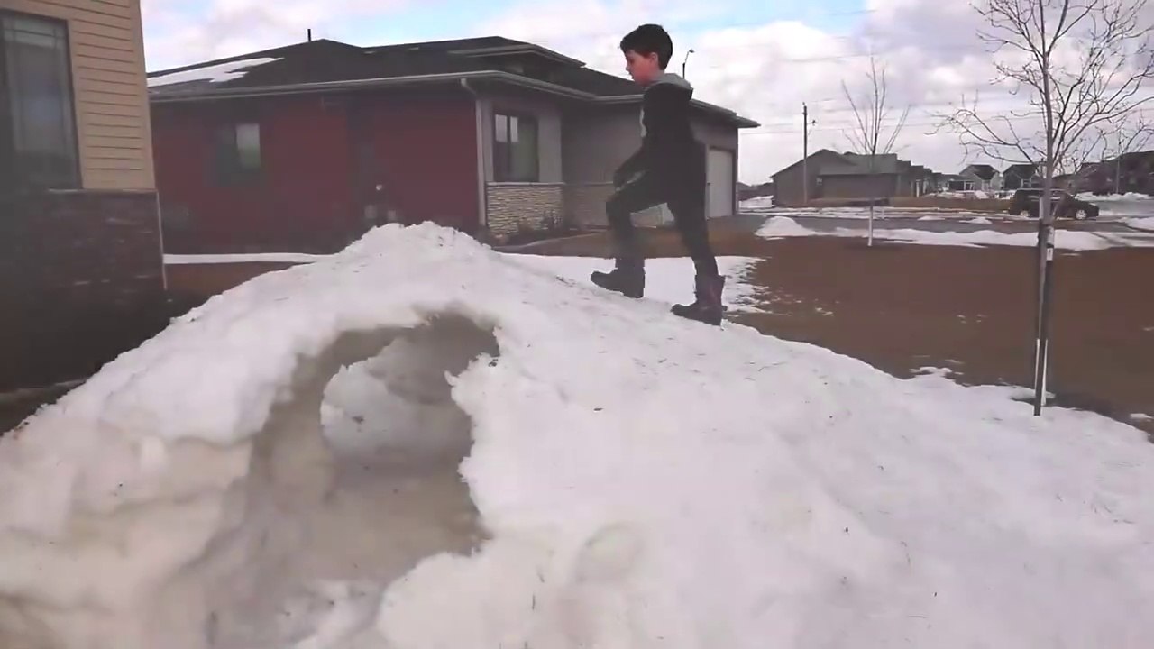 Funny Videos - You Can't Stop Laughing