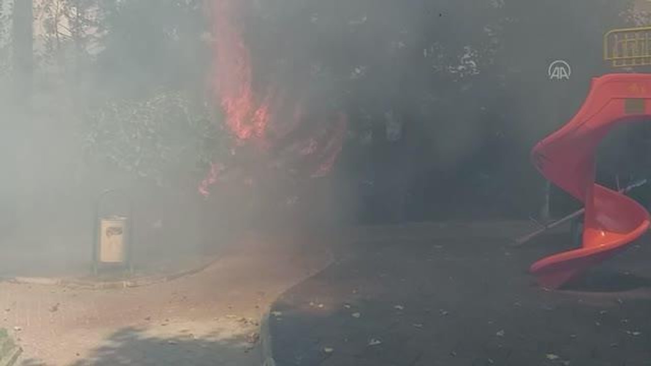 Son dakika haber! Maltepe'de otluk alanda çıkan yangın söndürüldü