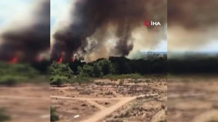 Son dakika haber! Antalya'da ormanlık bölgede yangın