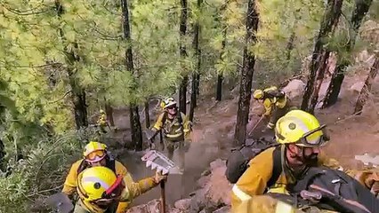 La UME comparte un vídeo donde sus unidades se coordinan con brigadistas para evitar la expansión del incendio