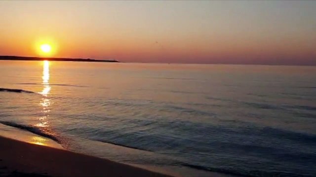 Oltre 730 fenicotteri rosa tornano a casa, il video dello spettacolo nella riserva Saline di Priolo