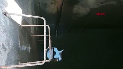 Bolu'da zehirlenenlerin sayısı 130'a yükseldi