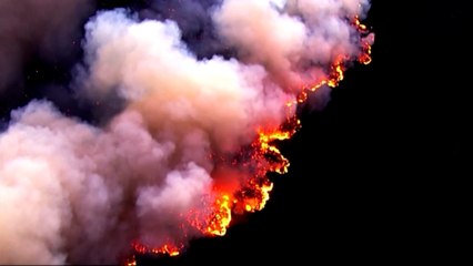 Californie : près de 5 000 hectares décimés par le feu