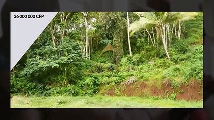 Terrain constructible de 980 m2 à acheter à Punaauia