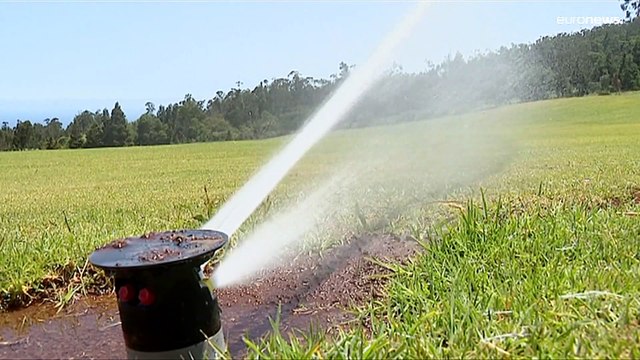 В Португалии ограничивают потребление воды