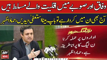 PMLN has an old habit to criticize Pakistan’s institutions: Hammad Azhar