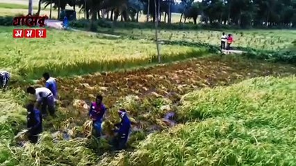 পাখির চোখে গ্রামের সুন্দর প্রাকৃতিক দৃশ্য! #GramerShomoy