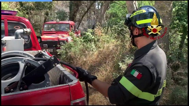 Incendio pineta a Ravenna, il video