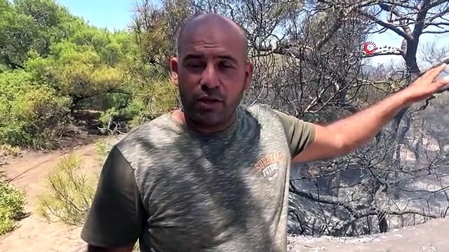 Bölgedeki vatandaşlar da alarma geçti... Çamlık alanda çıkan yangın havadan ve karadan müdahale ile söndürüldü